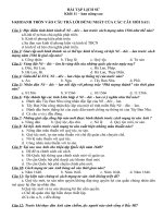 bai tap lich su 11NC