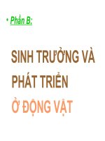 Sinh trưởng và phát triển ở động vật