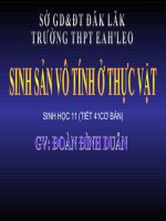 Bai: sinh san vo tinh o TV