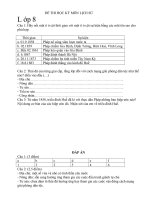 Đề kiểm tra lịch sử lớp 8 HKI II