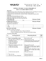 Giao an thi cong chuc TIN HOC 2008