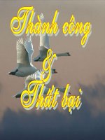 Thành công và Thất bại (Nghệ thuật sống)