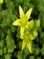 Bài 5.Trao đổi n][cs và...