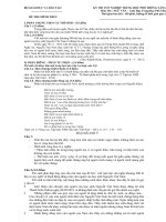 Giải đề văn thi tốt nghiệp thpt 2013