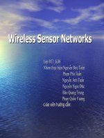 Wireless sensor network