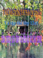 BÁC ƠI- TỐ HỮU