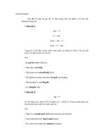 Vị trí của adverbs