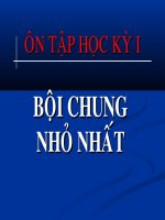 Giáo án điện tử - BCNN