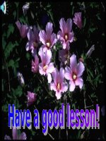 Unit 11: Lesson 1: What do you eat? A1/ p.114-115