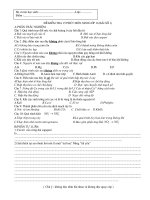 KT sinh 15 phút nâng cao