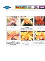 Sưu tập các loại hoa địa lan Đà Lạt 1