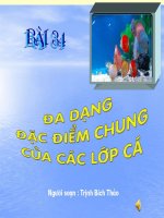 bài 34: