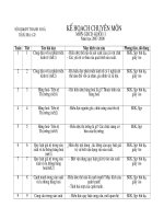 Kế hoạch chuyên môn GDCD lớp 11