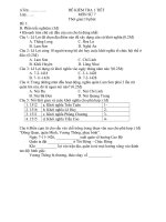 Đề kiểm tra 1 tiết