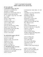 E11NC UNIT 9:TV,NP,BT