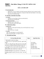 Hoạt động ngoài giờ lên lớp 7