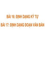 BÀI 16, 17: ĐỊNH DẠNG VĂN BẢN