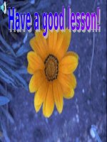 Unit 9: Lesson 5: B4-6/ p.101- 102