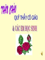 Tiết 33: Trau dồi vốn từ