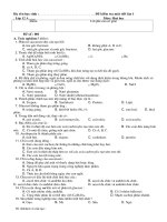 ôn tập chương 1.2 lớp 12 cơ bản