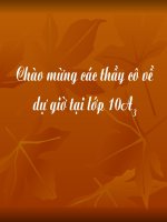 Tế bào nhân thực (tiết 2)