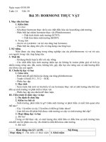 Bài 35: Hormone thực vật - NC
