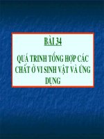 Bài 34 - SH 10