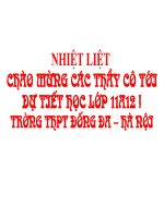 Bài 11: Chính sách dân số và giải quyết việc làm.