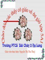 luyen tap thay the tu ngu de lien ket cau