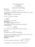 Đề thi HSG lớp 12 có đáp án đề 45