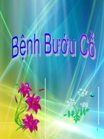 BAI TIEU LUAN BENH BUOU CO 4