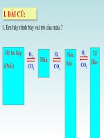 hô hấp và các cơ quan hô hấp