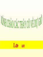 Đề phòng bệnh giun