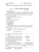 tiết 81. Tức cảnh pácbó