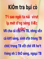 Bài 44 - SH 10 - Virut