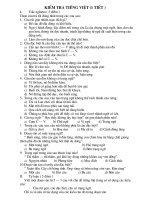 Kiểm tra tiếng việt