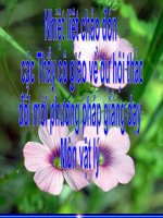 Bài 3: Ứng dụng đinh luật truyền thẳng ánh sáng