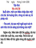 Tập đọc: Mưu chú Sẻ
