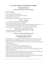 Cấu trúc một SKKN