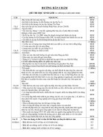 DE KT 15'' 45'' CAC LOP CAC NAM