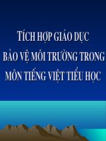GDMT lồng ghép trong môn TV tiểu học