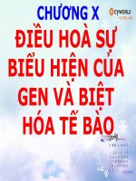 sự biệt hóa tế bào
