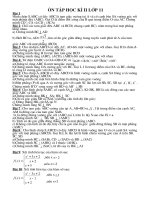 on tap hoc ki II lop 11( can thiet)