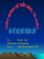 em tim hieu ve lien hiep quoc