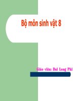 Phản xạ KĐK-CĐK