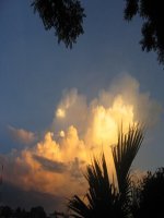 Chiếc lược ngà