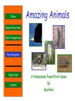 Amazing Animals