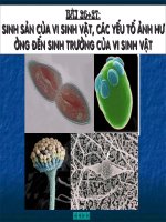 Bài 26 - SH 10 - Sinh sản của VSV ...