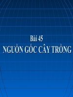 Nguồn gốc cây trồng