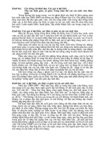 bai phat bieu khai giang